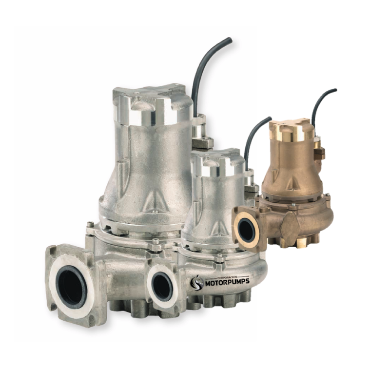 BOMBAS-SUMERGIBLES-EN-ACERO-INOXIDABLE-316-I-GM.webp BOMBAS SUMERGIBLES EN ACERO INOXIDABLE 316 I-GM - Imagen 1